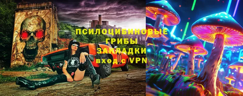 Галлюциногенные грибы Magic Shrooms  где можно купить   Красноперекопск 